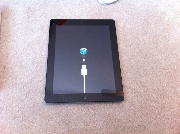 Apple iPad 2 Unboxing Photos - ready for setup